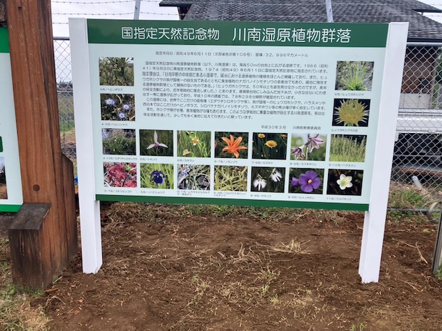 川南湿原植物群落（川南町）